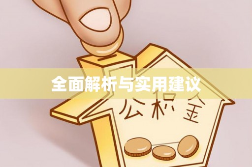 那曲全面解析与实用建议