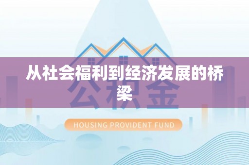那曲从社会福利到经济发展的桥梁