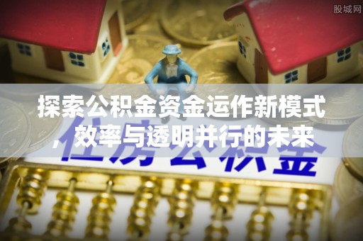 那曲探索公积金资金运作新模式，效率与透明并行的未来