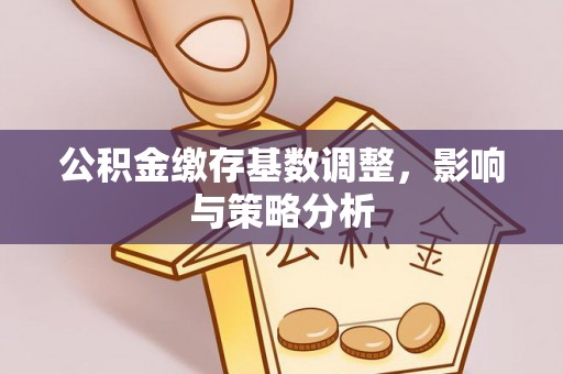 那曲公积金缴存基数调整，影响与策略分析