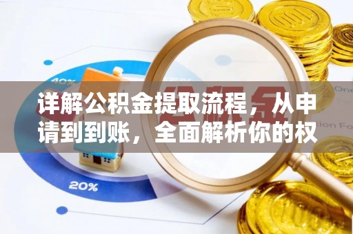 那曲详解公积金提取流程，从申请到到账，全面解析你的权益与操作步骤