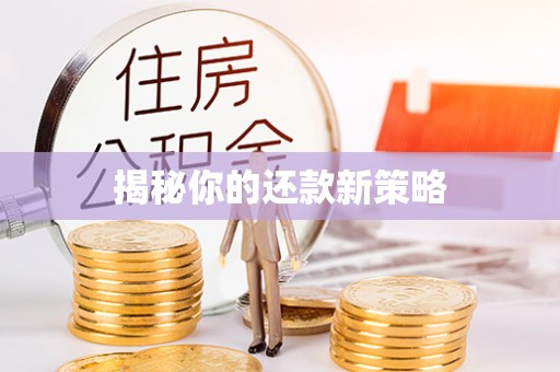 那曲揭秘你的还款新策略