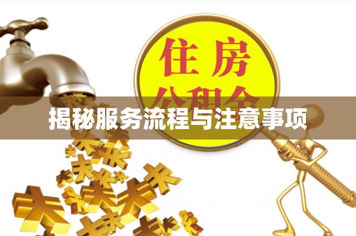 那曲揭秘服务流程与注意事项