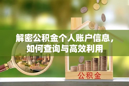 那曲解密公积金个人账户信息，如何查询与高效利用