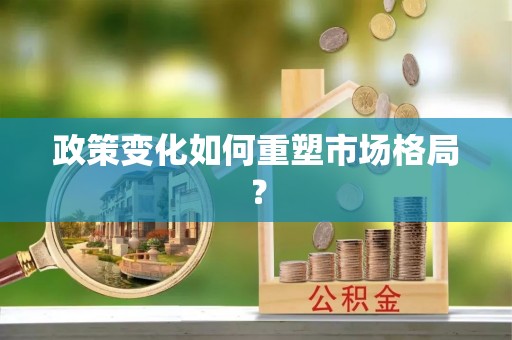 那曲政策变化如何重塑市场格局？