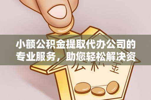 那曲小额公积金提取代办公司的专业服务，助您轻松解决资金难题