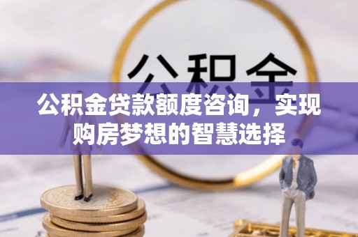 那曲公积金贷款额度咨询，实现购房梦想的智慧选择