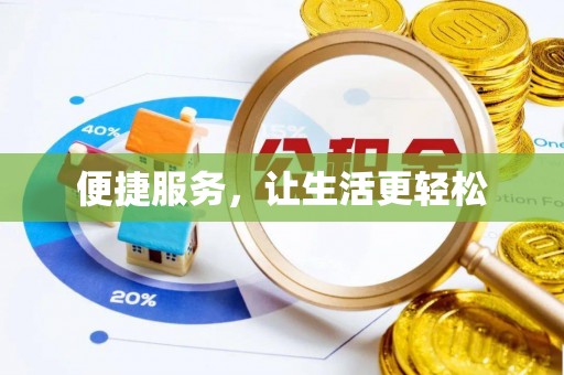 那曲便捷服务，让生活更轻松