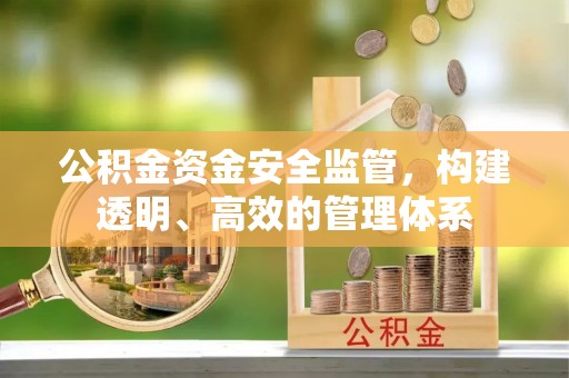 那曲公积金资金安全监管，构建透明、高效的管理体系