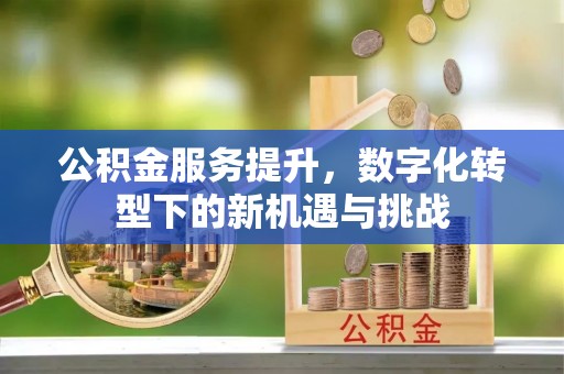 那曲公积金服务提升，数字化转型下的新机遇与挑战