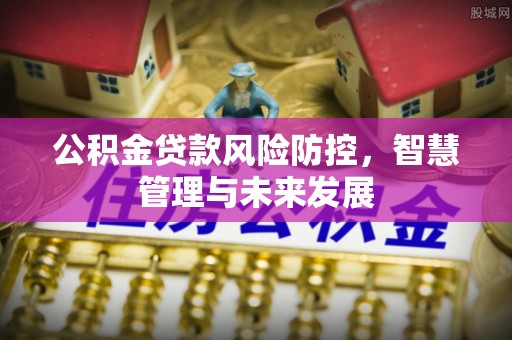 那曲公积金贷款风险防控，智慧管理与未来发展