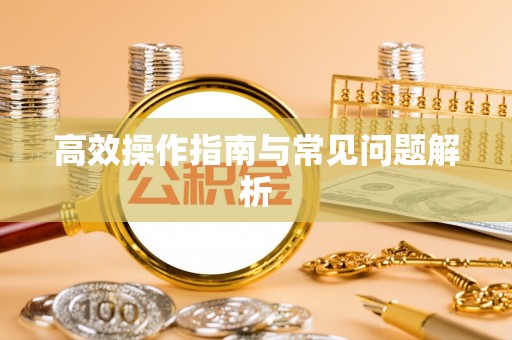 那曲高效操作指南与常见问题解析