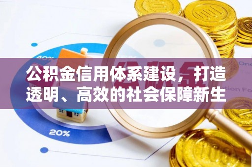 那曲公积金信用体系建设，打造透明、高效的社会保障新生态