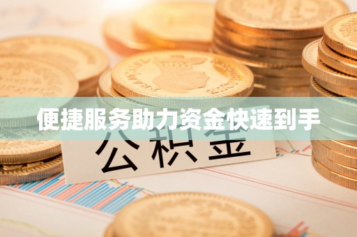那曲便捷服务助力资金快速到手