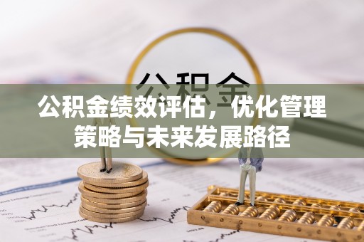 那曲公积金绩效评估，优化管理策略与未来发展路径