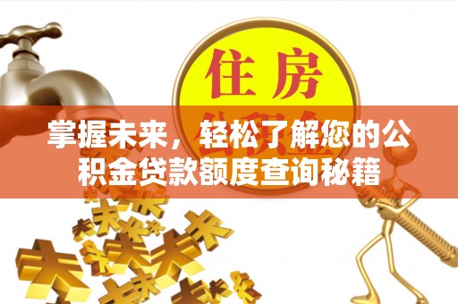 那曲掌握未来，轻松了解您的公积金贷款额度查询秘籍