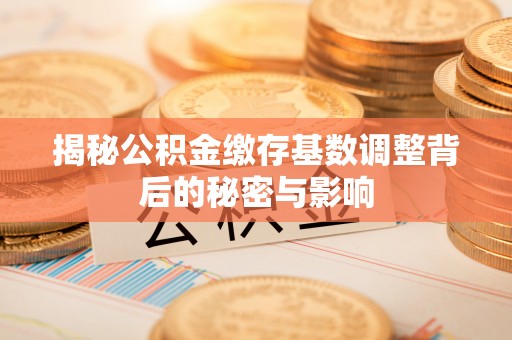 那曲揭秘公积金缴存基数调整背后的秘密与影响