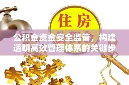 那曲公积金资金安全监管，构建透明高效管理体系的关键步骤