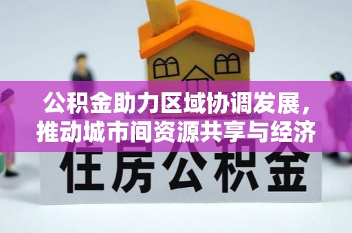 那曲公积金助力区域协调发展，推动城市间资源共享与经济均衡发展