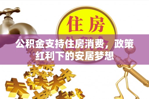 那曲公积金支持住房消费，政策红利下的安居梦想
