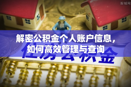 那曲解密公积金个人账户信息，如何高效管理与查询