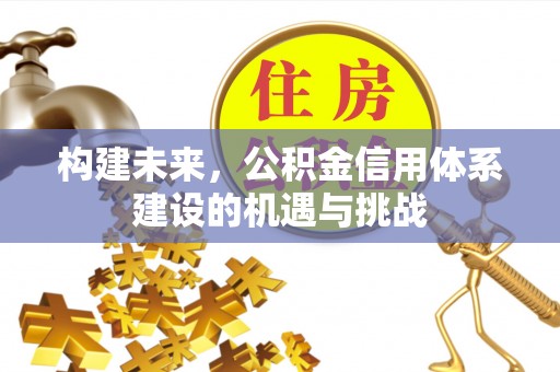 那曲构建未来，公积金信用体系建设的机遇与挑战