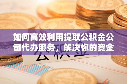 那曲如何高效利用提取公积金公司代办服务，解决你的资金难题