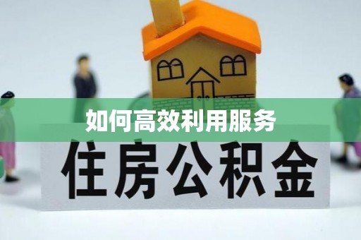 那曲如何高效利用服务