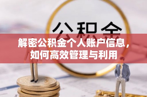 那曲解密公积金个人账户信息，如何高效管理与利用