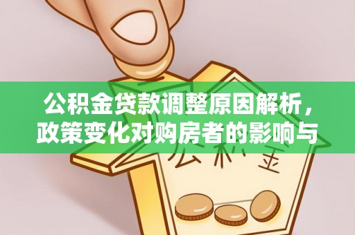 那曲公积金贷款调整原因解析，政策变化对购房者的影响与应对