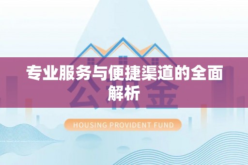 那曲专业服务与便捷渠道的全面解析