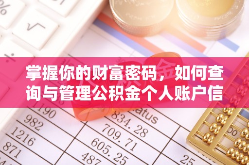那曲掌握你的财富密码，如何查询与管理公积金个人账户信息
