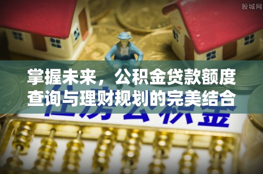 那曲掌握未来，公积金贷款额度查询与理财规划的完美结合