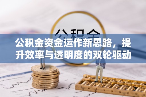 那曲公积金资金运作新思路，提升效率与透明度的双轮驱动