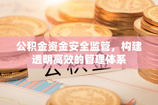 那曲公积金资金安全监管，构建透明高效的管理体系