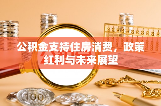 那曲公积金支持住房消费，政策红利与未来展望