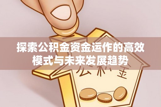 那曲探索公积金资金运作的高效模式与未来发展趋势