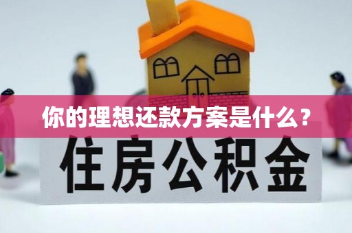 那曲你的理想还款方案是什么？