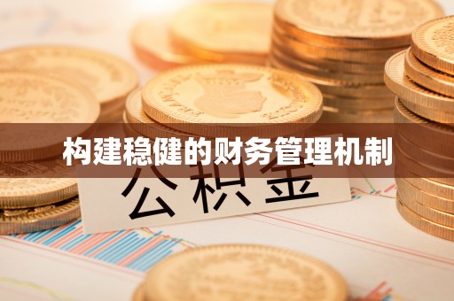 那曲构建稳健的财务管理机制
