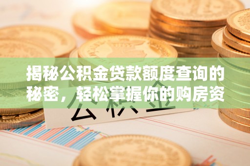 那曲揭秘公积金贷款额度查询的秘密，轻松掌握你的购房资金