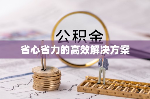 那曲省心省力的高效解决方案