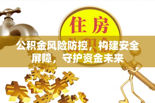 那曲公积金风险防控，构建安全屏障，守护资金未来