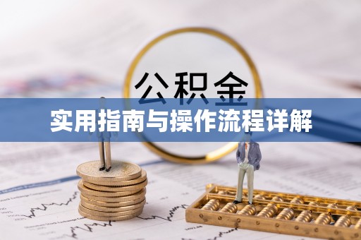 那曲实用指南与操作流程详解