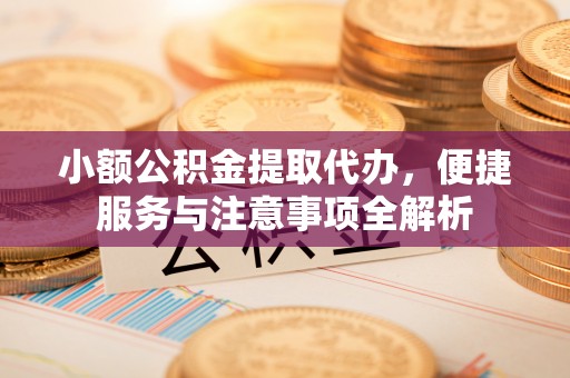 那曲小额公积金提取代办，便捷服务与注意事项全解析