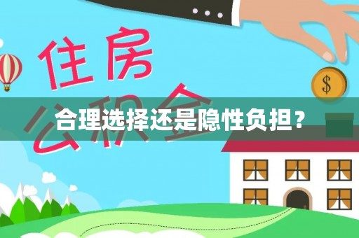 那曲合理选择还是隐性负担？