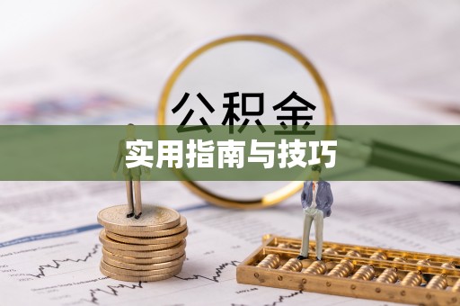 那曲实用指南与技巧