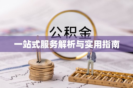 那曲一站式服务解析与实用指南
