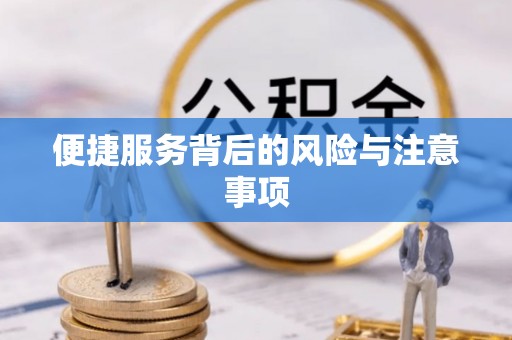 那曲便捷服务背后的风险与注意事项