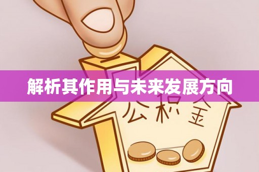 那曲解析其作用与未来发展方向
