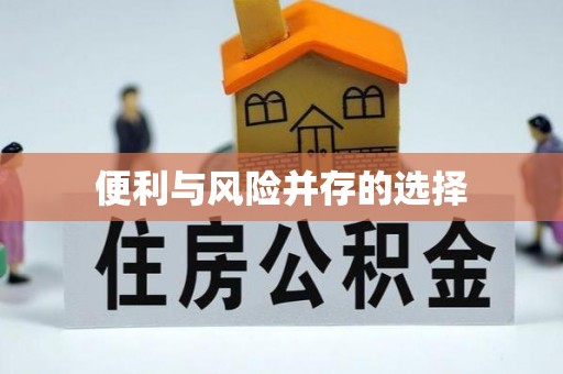 那曲便利与风险并存的选择